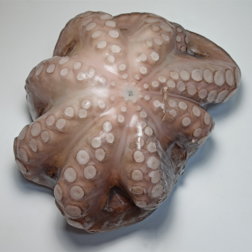 cipura